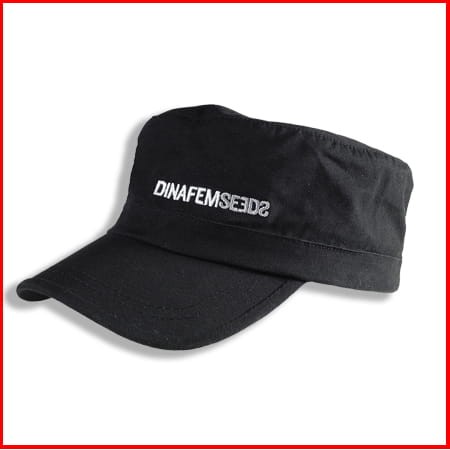 Czapka Dinafem Urban Cap