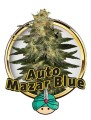 Auto Mazar Blue Feminise