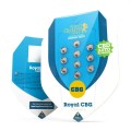 Royal CBG Auto Feminise