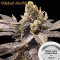 Super Auto Lemon Haze Feminise