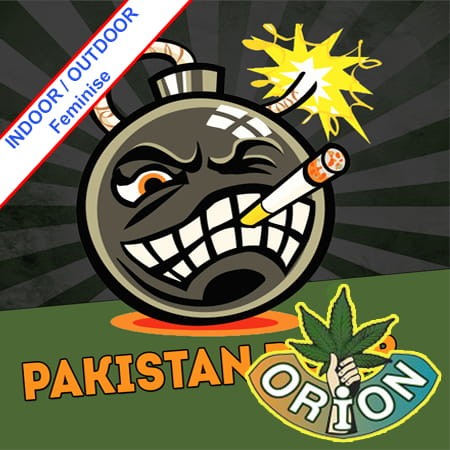Pakistan Bomb Fast Version Feminise