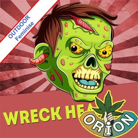 Wreck Head Fast Version Feminise