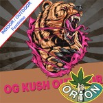 OG Kush Outdoor Feminise
