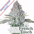 Sativa Des Rois Feminise