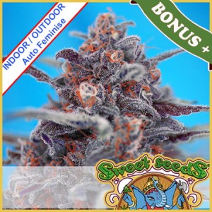 Devil Cream Auto Feminise