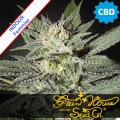 King's Kush CBD Feminise