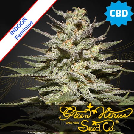 Super Lemon Haze CBD Feminise