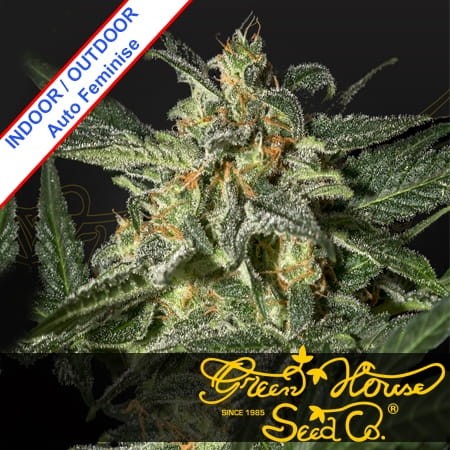 White Widow Auto Feminise