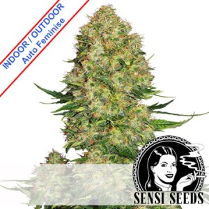 Skunk#1 Auto Feminise