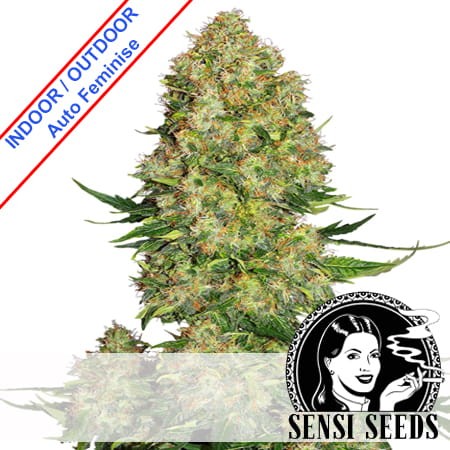 Skunk#1 Auto Feminise