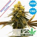 Sour AC/DC CBD Feminise