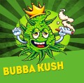Bubba Kush Fast Version Feminise