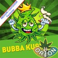 Bubba Kush Fast Version Feminise