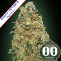 White Widow Feminise