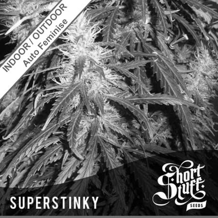 Super Stinky Auto Feminise