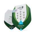 Cosmos F1 CBD Auto Feminise