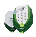 Epsilon F1 Auto Feminise
