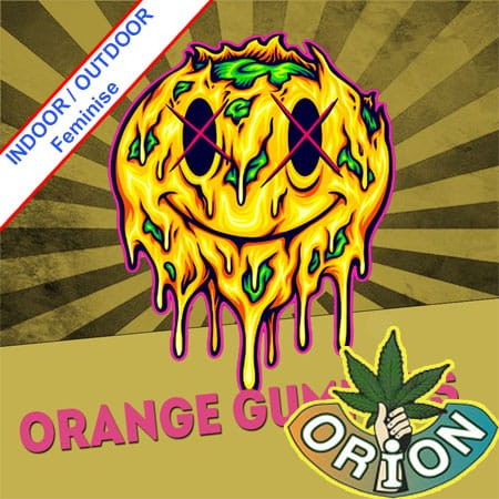 Orange Gummies Feminise