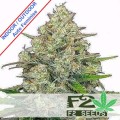 Cookies Auto Feminise