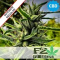 Swiss Sativa CBD Regular