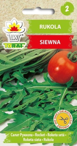 Rukola siewna
