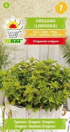Oregano lebiodka