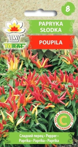 Papryka słodka - Pupila