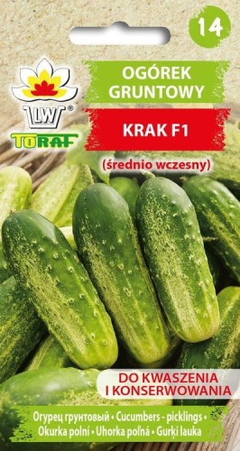 Ogórek gruntowy - Krak F1