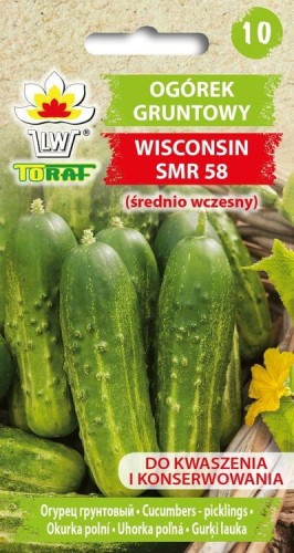 Ogórek gruntowy - Wisconsin SMR 58