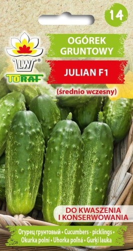 Ogórek gruntowy - Julian F1
