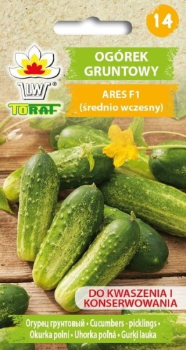 Ogórek gruntowy - Ares F1