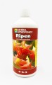 Ripen - stymulator kwitnienia na końcową fazę 1L