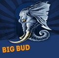 Big Bud XXL Fast Version Feminise