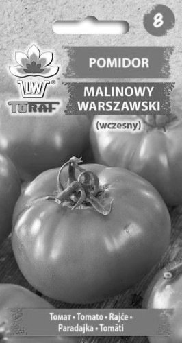 Pomidor gruntowy - Malinowy Warszawski
