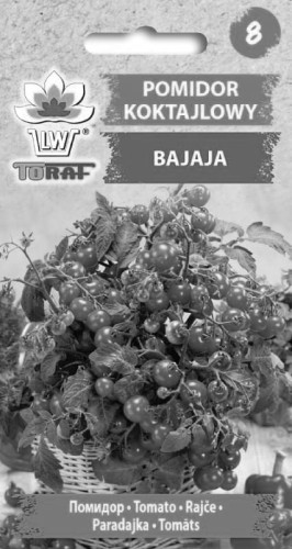 Pomidor karłowy - Bajaja