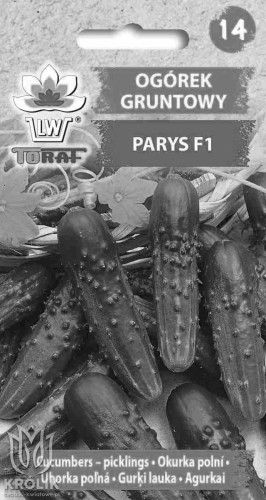 Ogórek gruntowy - Parys F1