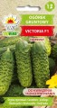 Ogórek gruntowy VICTORIA F1
