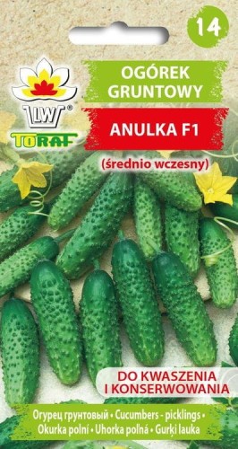 Ogórek gruntowy ANULKA F1