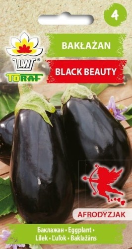Bakłażan Black Beauty