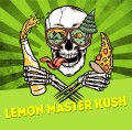 Lemon Master Kush Fast Version Feminise