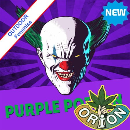 Purple Poison Fast Version Feminise