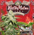 WaterMelon Ultra Feminise