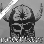 Auto Viking Blue Feminise