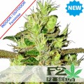 Lemon Skunk Fast Version Feminise