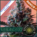 La Blanca Gold Feminise 