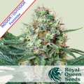 Royal Cookies Feminise