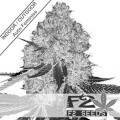 Zkittlez Auto Feminise
