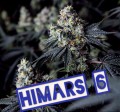 Himars 6 Półautomat Feminise
