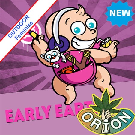 Early Earth Outdoor Feminise