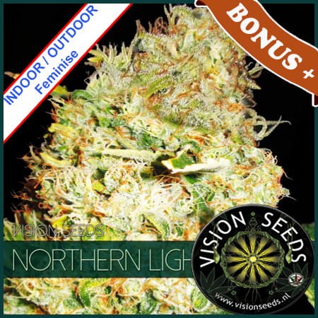 Northern Lights Feminise 